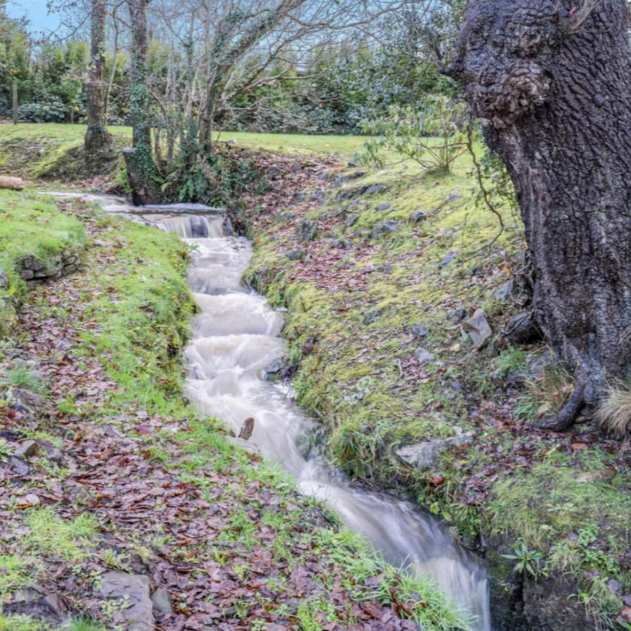 Llanrhidian - Sleeps x20, Hot tub, Ideal for families