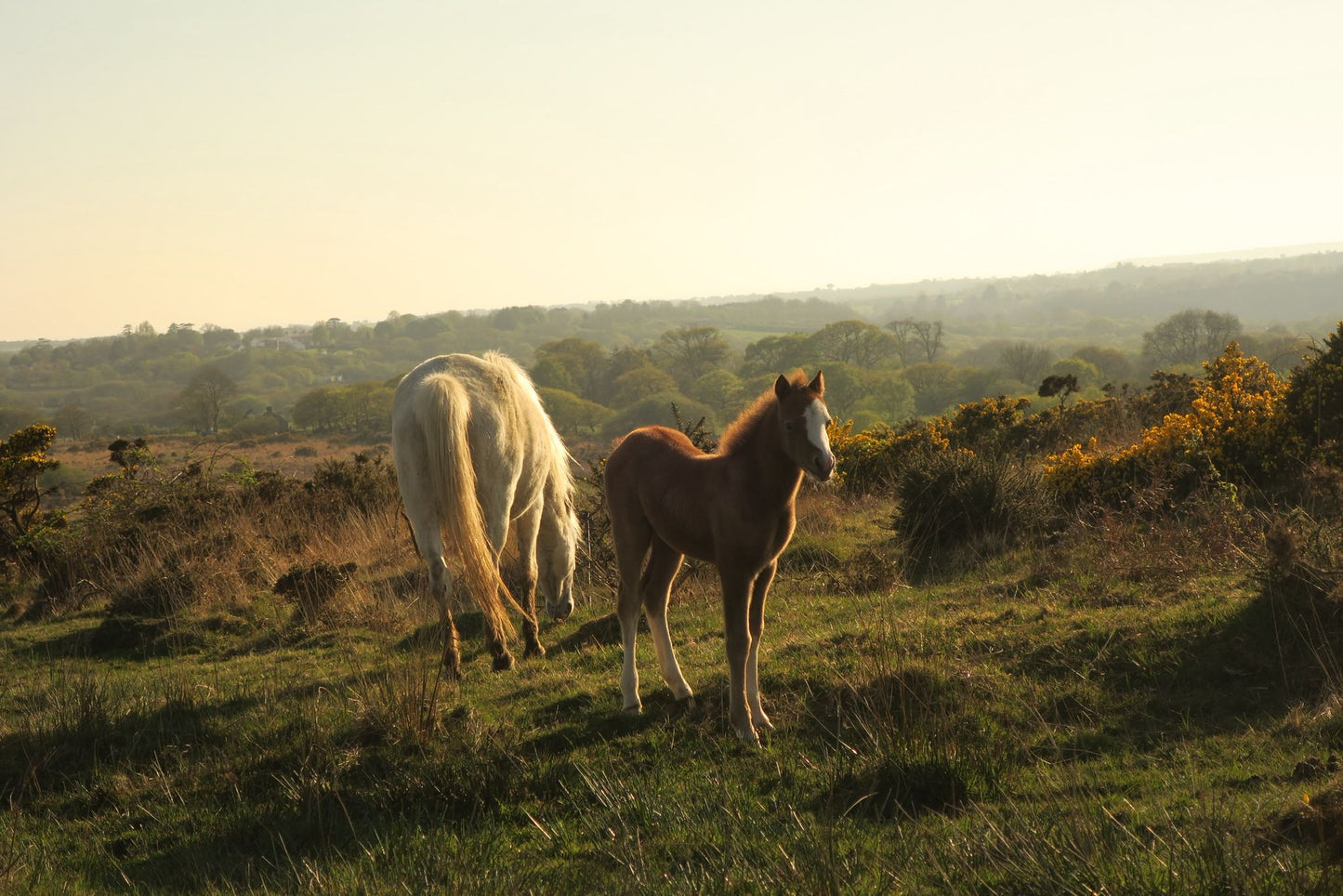 27th - 29th March 2026 Retreat Weekend