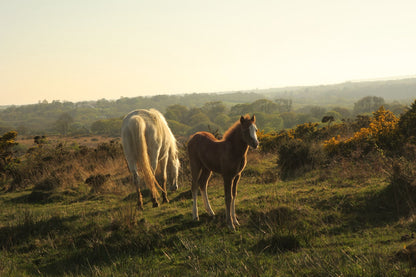 27th - 29th March 2026 Retreat Weekend