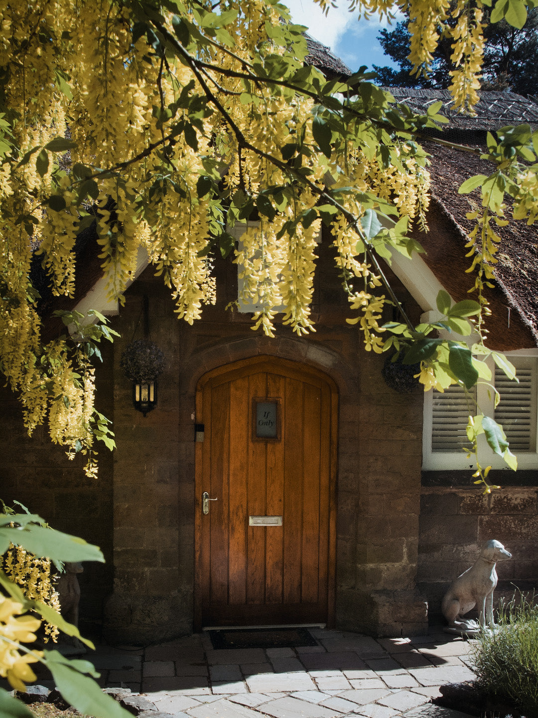 Sketty Green Lodge - Singleton Park. Sleeps x 3.