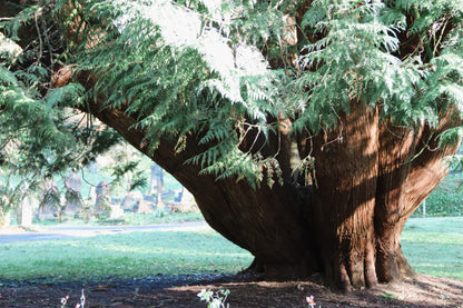 Mumbles - Oystermouth Chapel, Sleeps x6